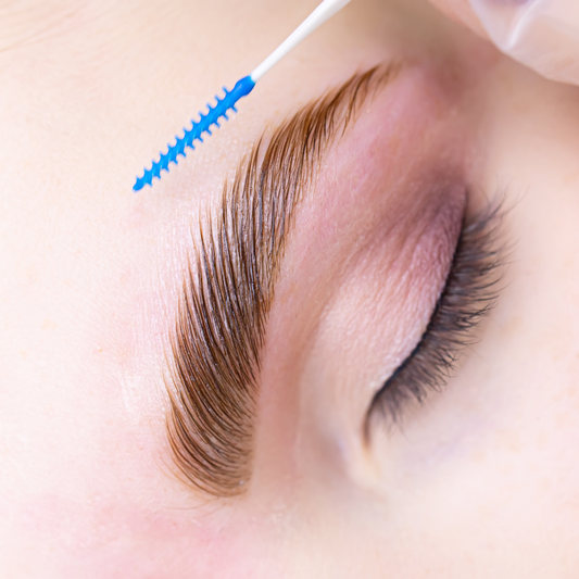 Eyebrow Lamination Course