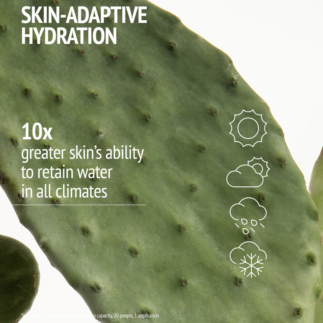 Hydramemory Rich Sorbet Cream