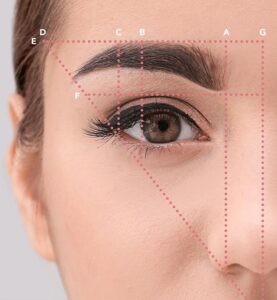 The secret to eyebrow shaping woman with eyebrow shaping lines